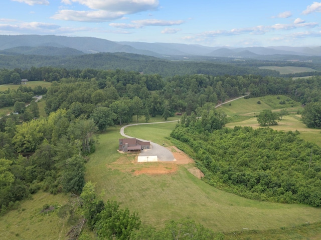 6000 Ferrum Mountain Rd, Callaway, VA 24067 - aerial view of sparsely populated area featuring mountains and a forest