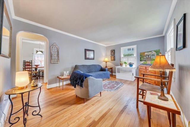 2728 Lansing Dr SW, Roanoke, VA 24015 - living room featuring arched walkways, light wood-style floors, and ornamental molding