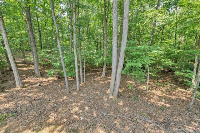 2365 Lakewood Forest Rd, Moneta, VA 24121 - view of local wilderness