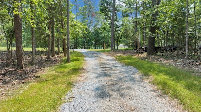 2365 Lakewood Forest Rd, Moneta, VA 24121 - view of dirt / gravel road