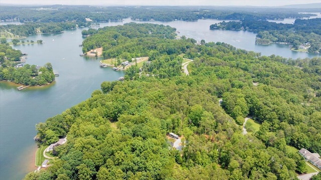 2365 Lakewood Forest Rd, Moneta, VA 24121 - bird's eye view of a heavily wooded area and a large body of water