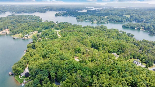 2365 Lakewood Forest Rd, Moneta, VA 24121 - bird's eye view of a heavily wooded area and a large body of water