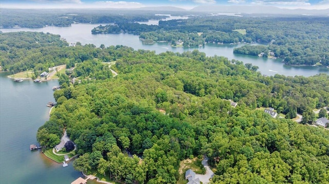 2365 Lakewood Forest Rd, Moneta, VA 24121 - drone / aerial view of a heavily wooded area and a large body of water