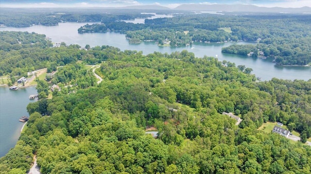 2365 Lakewood Forest Rd, Moneta, VA 24121 - drone / aerial view of a forest and a nearby body of water
