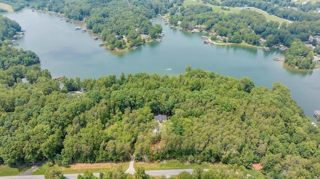 2365 Lakewood Forest Rd, Moneta, VA 24121 - aerial view of property's location featuring a forest and a large body of water
