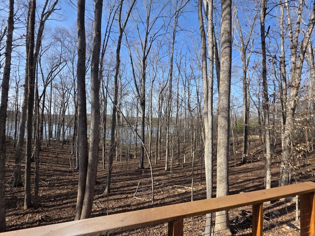 2365 Lakewood Forest Rd, Moneta, VA 24121 - view of yard