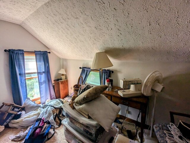 606 Haycock Rd SE, Floyd, VA 24091 - bedroom featuring lofted ceiling and a textured ceiling