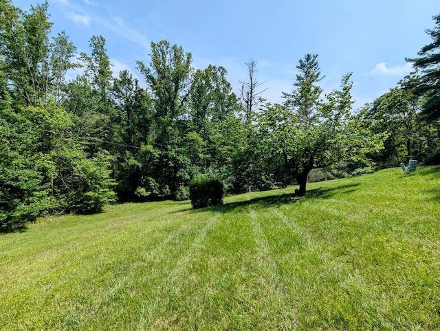 606 Haycock Rd SE, Floyd, VA 24091 - view of grassy yard with a wooded view