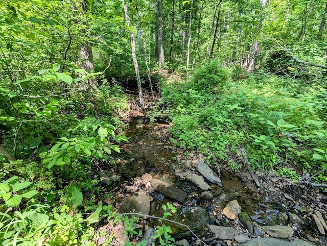 606 Haycock Rd SE, Floyd, VA 24091 - view of local wilderness