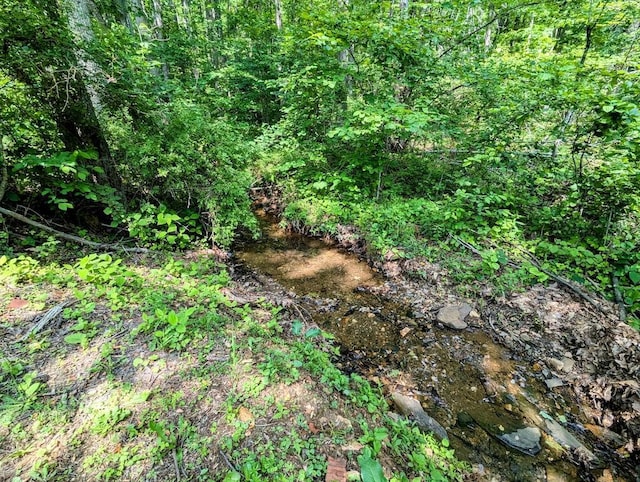 606 Haycock Rd SE, Floyd, VA 24091 - view of nature