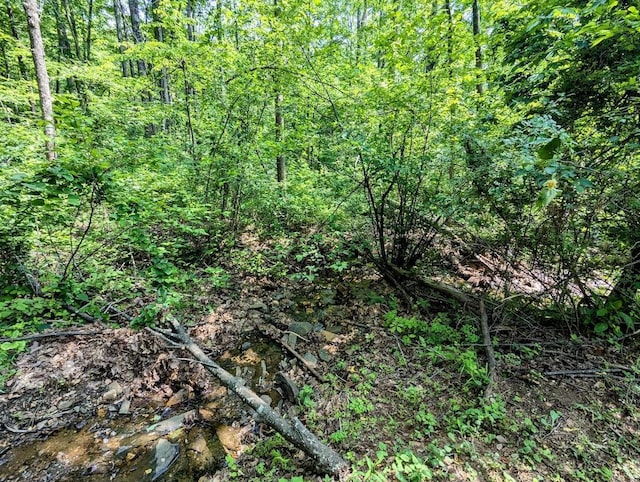 606 Haycock Rd SE, Floyd, VA 24091 - view of woods