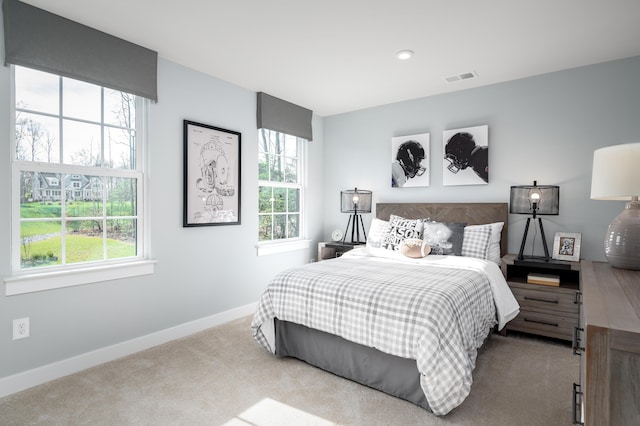 7059 Fairway Ridge Rd, Roanoke, VA 24018 - bedroom with carpet floors and multiple windows