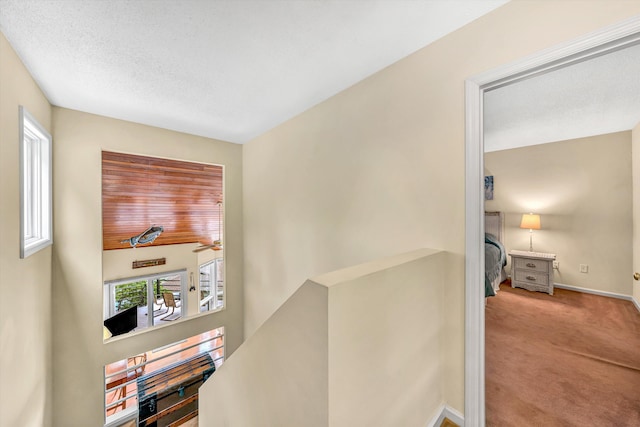 1230 Nature Ln Unit 1, Union Hall, VA 24176 - corridor featuring an upstairs landing and carpet flooring