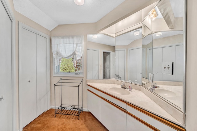 1230 Nature Ln Unit 1, Union Hall, VA 24176 - bathroom featuring vanity and vaulted ceiling