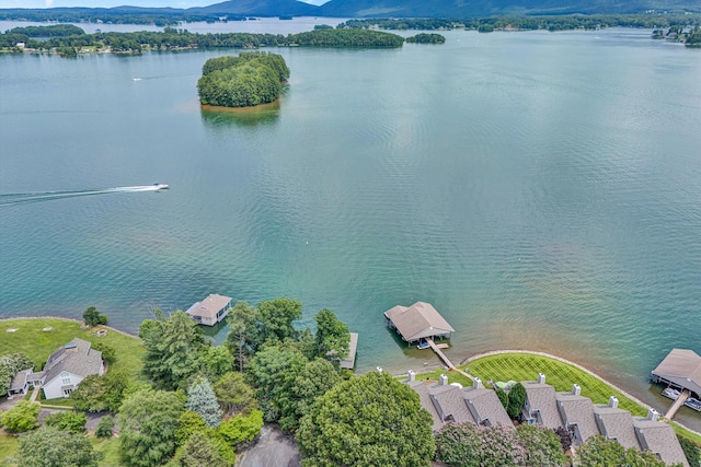 1230 Nature Ln Unit 1, Union Hall, VA 24176 - drone / aerial view of a water and mountain view