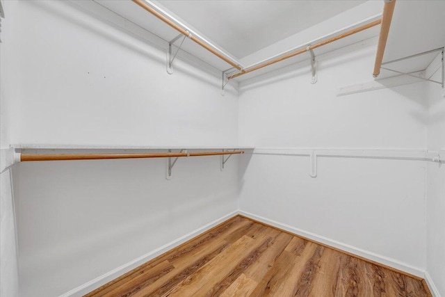 112 Sedgefield Ln, Vinton, VA 24179 - spacious closet with light wood finished floors