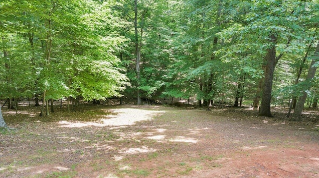 112 Sedgefield Ln, Vinton, VA 24179 - view of wooded area