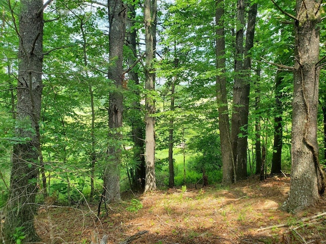 0 Cobble Trl, Bent Mountain, VA 24059