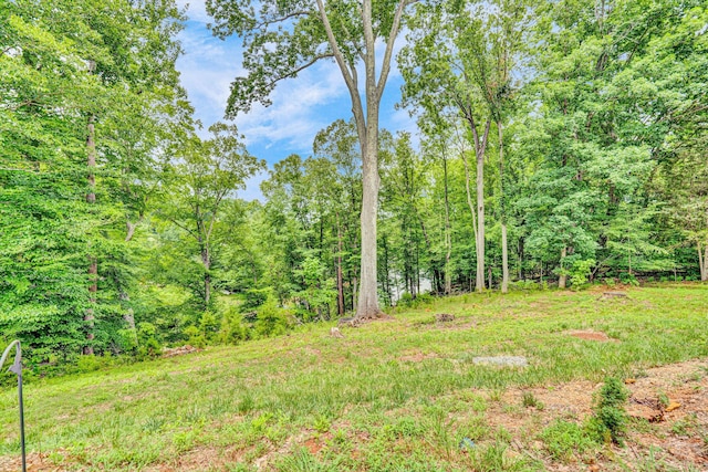 304 Blazing Ridge Dr Unit 0, Pittsville, VA 24139 - view of yard featuring a view of trees