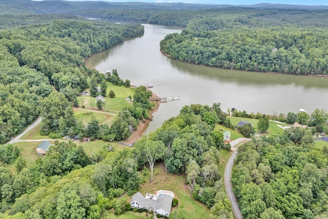 304 Blazing Ridge Dr Unit 0, Pittsville, VA 24139 - drone / aerial view of a forest and a nearby body of water
