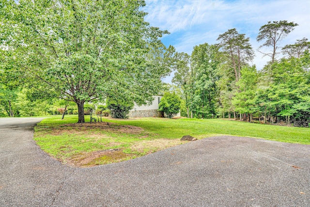 304 Blazing Ridge Dr Unit 0, Pittsville, VA 24139 - view of green lawn