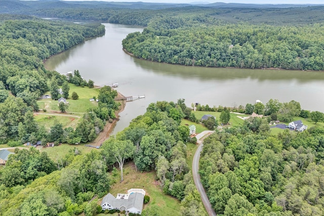 304 Blazing Ridge Dr Unit 0, Pittsville, VA 24139 - aerial view of a heavily wooded area and a large body of water