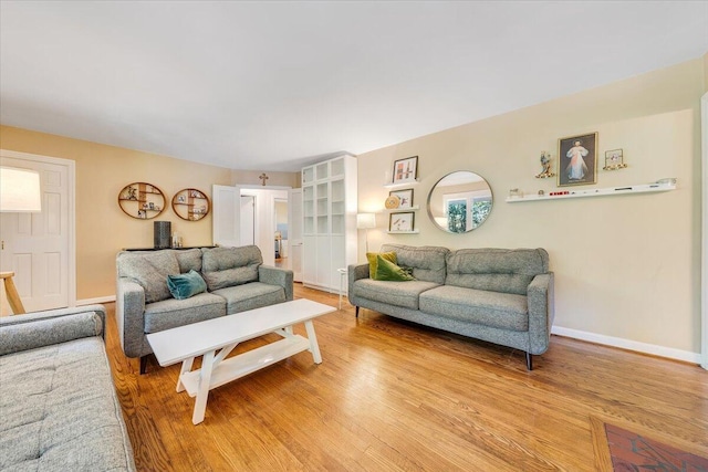 2702 Yellow Mountain Rd SE, Roanoke, VA 24014 - living room featuring light wood finished floors