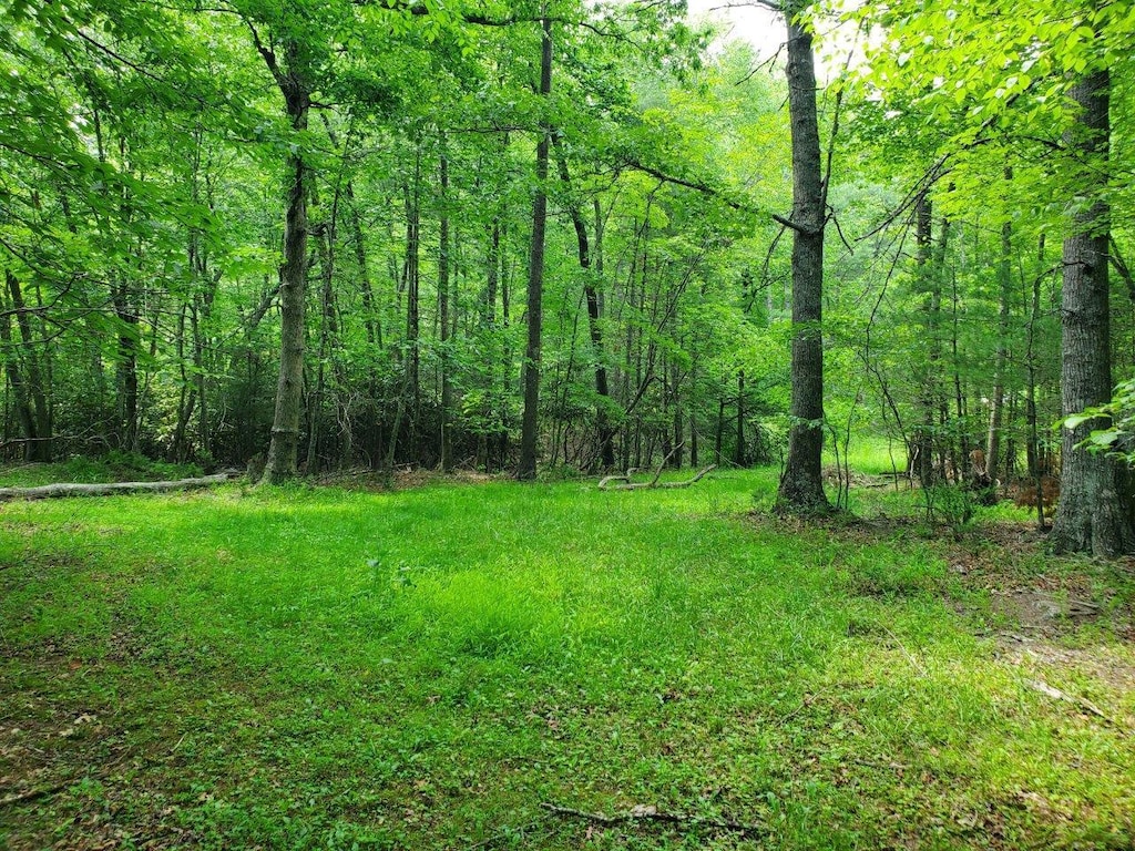 10334 Mill Creek Rd, Bent Mountain, VA 24059