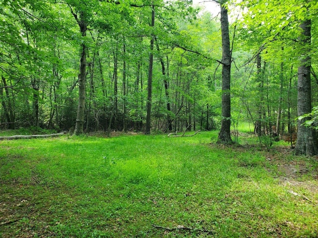 10334 Mill Creek Rd, Bent Mountain, VA 24059