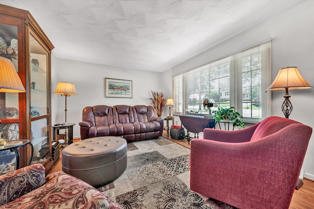 716 Arcadia Cir, Vinton, VA 24179 - living room featuring wood finished floors and baseboards