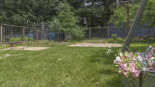 2506 Rosalind Ave SW, Roanoke, VA 24014 - view of yard
