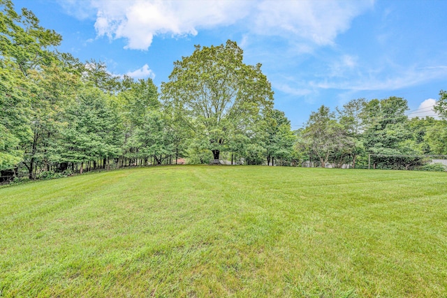 4362 Fontaine Cir, Roanoke, VA 24018 - view of green lawn