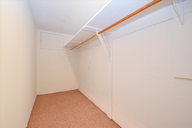 115 Bartley Dr, Salem, VA 24153 - walk in closet with light colored carpet