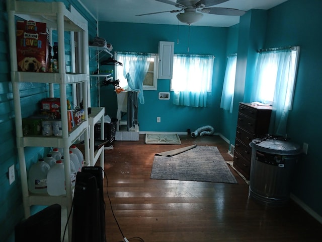 918 Dale Ave SE, Roanoke, VA 24013 - bedroom featuring dark wood-style floors and ceiling fan