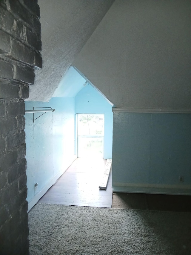 918 Dale Ave SE, Roanoke, VA 24013 - additional living space featuring lofted ceiling and carpet