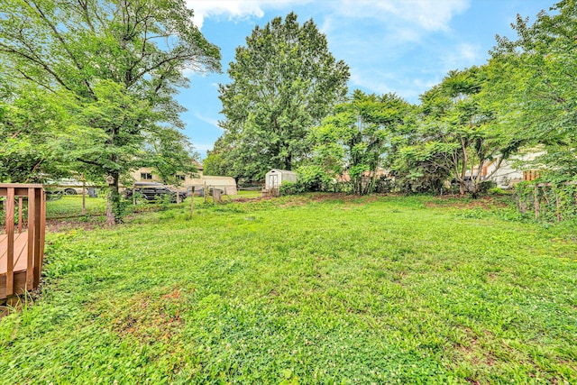 3717 Martinell Ave, Roanoke, VA 24018 - view of yard with a storage shed