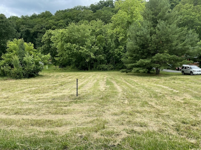 0 Market Ave, Iron Gate, VA 24448