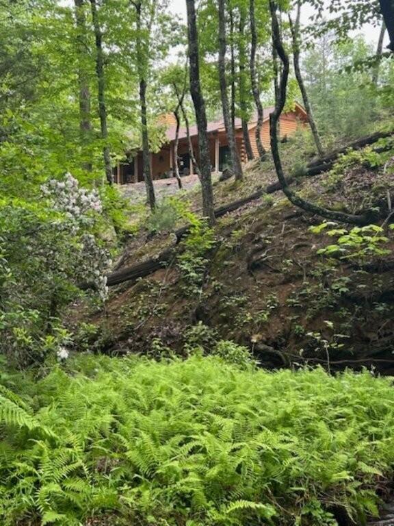 350 Sizer Ln, New Castle, VA 24127 - view of undeveloped land