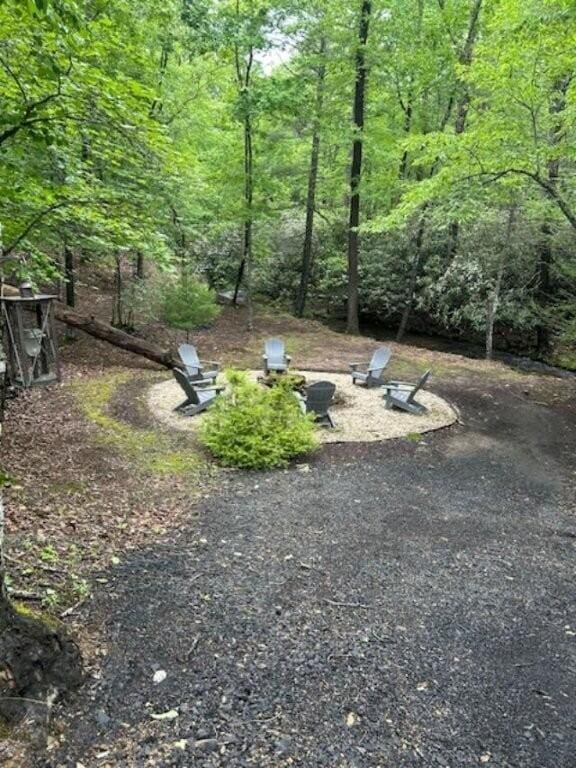 350 Sizer Ln, New Castle, VA 24127 - view of yard with a forest view