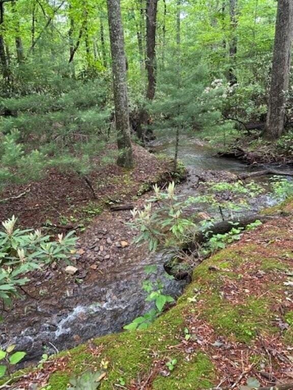 350 Sizer Ln, New Castle, VA 24127 - view of wooded area