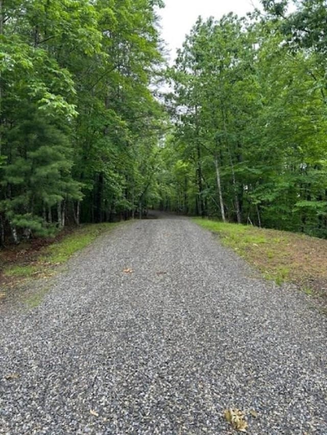350 Sizer Ln, New Castle, VA 24127 - view of street featuring a wooded view