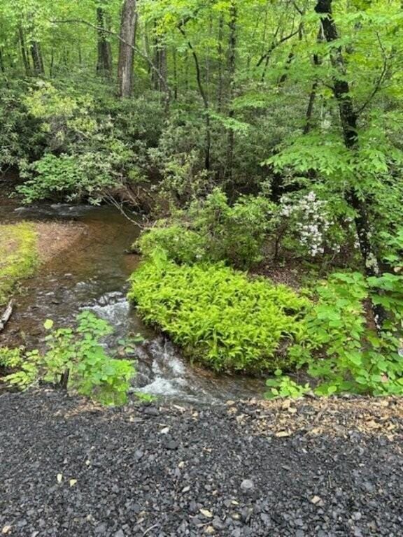 350 Sizer Ln, New Castle, VA 24127 - view of undeveloped land