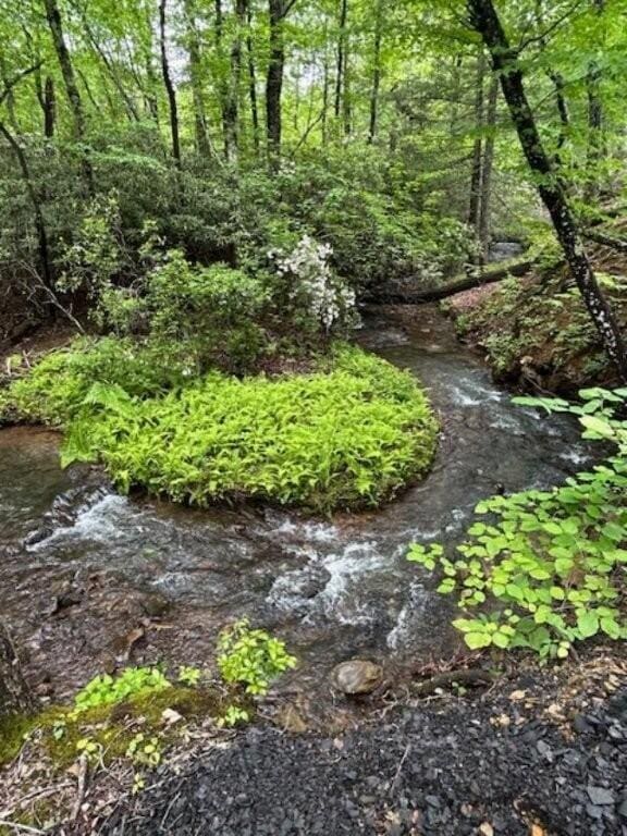 350 Sizer Ln, New Castle, VA 24127 - view of local wilderness