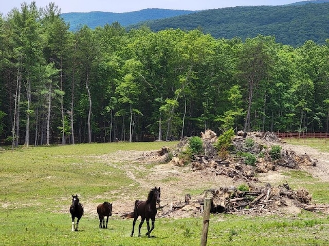 350 Sizer Ln, New Castle, VA 24127 - view of mountain backdrop featuring a forest