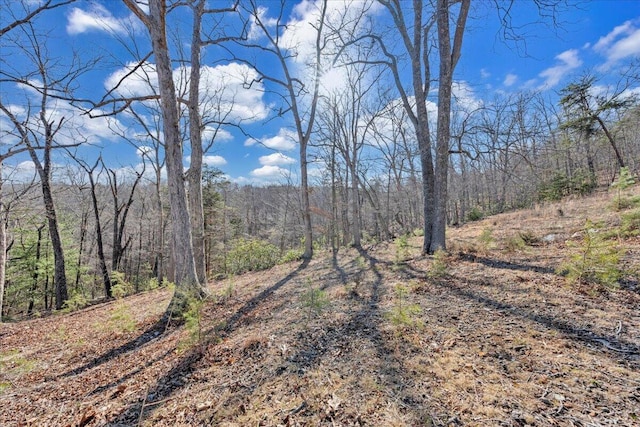 2534 Paris Mountain Rd, Elliston, VA 24087 - view of wooded area