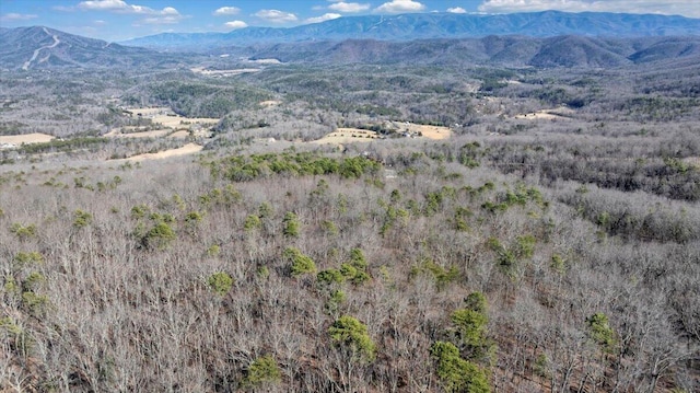 2534 Paris Mountain Rd, Elliston, VA 24087 - view of mountain background