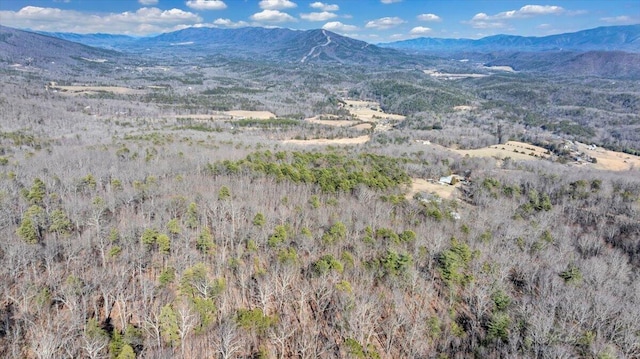 2534 Paris Mountain Rd, Elliston, VA 24087 - view of mountain backdrop