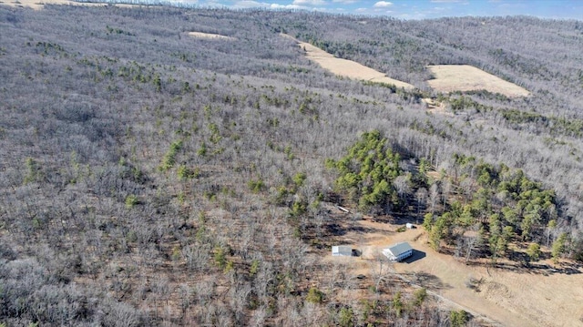 2534 Paris Mountain Rd, Elliston, VA 24087 - view of property location with a heavily wooded area