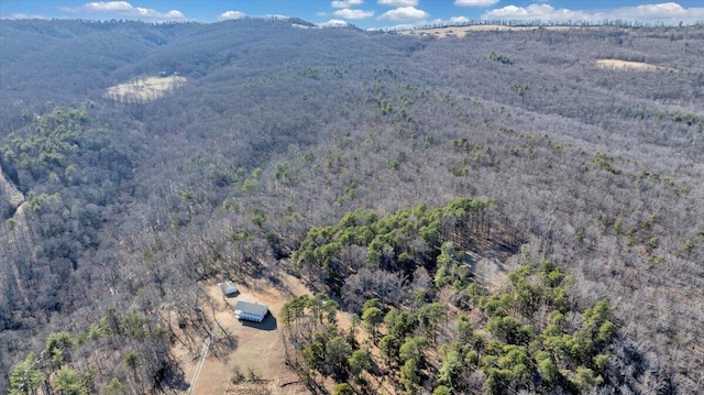 2534 Paris Mountain Rd, Elliston, VA 24087 - aerial overview of property's location featuring a forest and a mountainous background