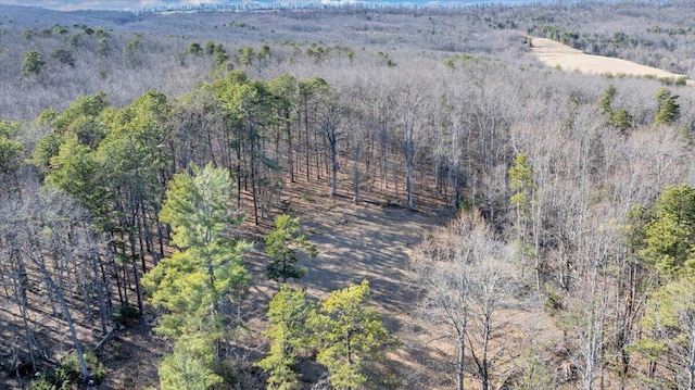 2534 Paris Mountain Rd, Elliston, VA 24087 - aerial overview of property's location with a forest